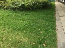 ICC天曜 2室2厅 东 东北