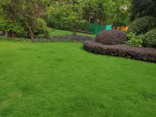 央湖名邸一期 2室1厅 西