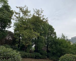 东韵雅园3室2厅南