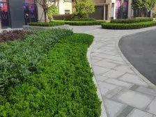 央湖名邸二期 3室2厅 东南