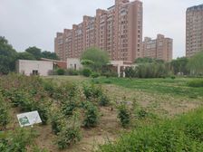 三环边双线地铁只有契税楼层高南向没有遮挡