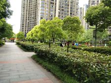 ,出门地铁口,300米万达广场,次新小区,视野采光好