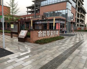 合能珍宝玲珑 3室1厅 东南