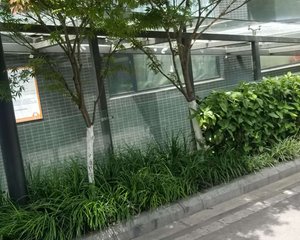 香月楠岸2室1厅东南