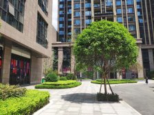 中港广场 1室1厅 西北 西