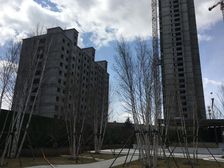 楼层好,户型板正,视野开阔,交通便利