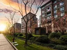 大成郡 洋房 嘉闵线50米装修花了100个W看房方便