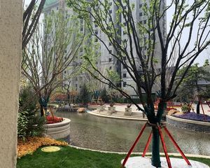 恒大御湖庄园3室2厅南北通透价格便宜