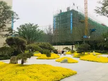 户型好 楼层好,环境好,带车位,带南北花园70平