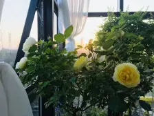 三环内河景房,精装双卫大三房,全款房诚心卖