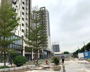 碧桂园金辉坚果社区3室2厅南