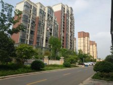 户型格局好,视野宽阔,采光好,位置好,面积多