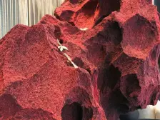 楼观沧海日,门对星海潮!举头望明月,低头有阳光