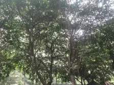 建工职院小区 2室2厅 南