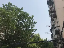 东外滩·霍新小区·1室·1厅