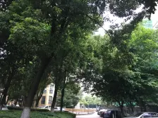 红谷现代城带露台楼,全屋品牌精装修,业主诚心出售