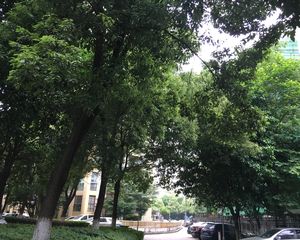 正荣红谷现代城户型方正,采光好装修好,环镜优美中间楼层