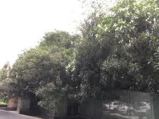 红谷滩,低总价江景房,业主诚心出售可谈价