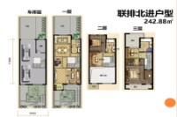 联排北进242.88平米户型