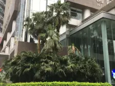 红谷滩江景房高层视野好业主诚意出售价格有空间