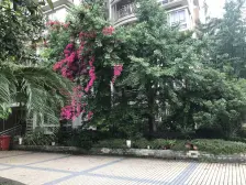 房子位置处于重百仪店轨道6号线生活配套成熟交通便利