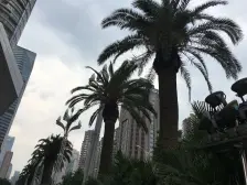 国际金融中心 1室1厅 西北