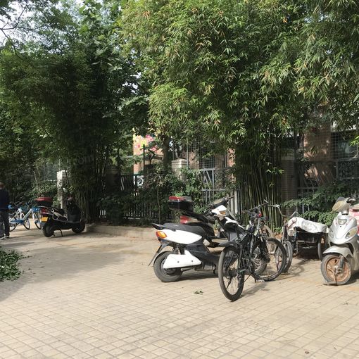 升龙世纪花园贰区1室1卫南朝向1000.00元/月出租