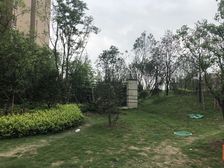 北辰香麓 3室2厅 南