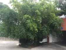 渝北 渝北铂金时代 1室0厅