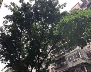 玉洁巷12号2室2厅南