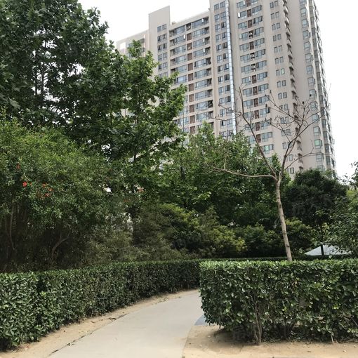 升龙世纪花园贰区1室1厅1卫北朝向1100.00元/月出租