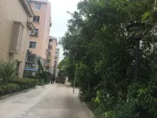 精装三房户型高楼层采光视野都好