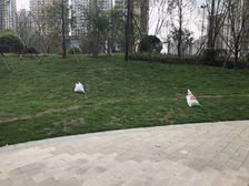 北辰香麓 3室1厅 东南