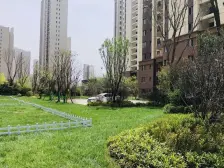 碧桂园 3室2厅 南 北