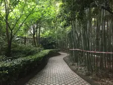 总监力推+青青佳苑 两房 近轻轨 配套成熟 业主自住