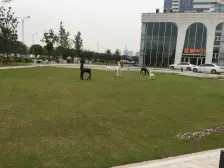 恒天时尚中心大面积单间,视野开阔业主诚意卖