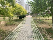 新贤家园2室1厅南