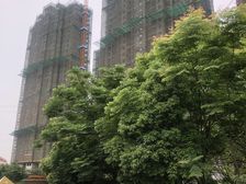 中铁龙盘湖世纪山水5室2厅东南南