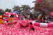 5月1日粉红猪活动