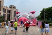 5月1日粉红猪活动