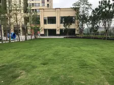 蔡家 东原嘉阅湾98号五房271万