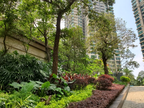 雅居乐锦城花锦集