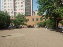 苗圃小区,住宅,离公园近。下楼就是