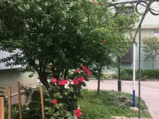 诚意出售,精装好房,随时可以看,欢迎咨询