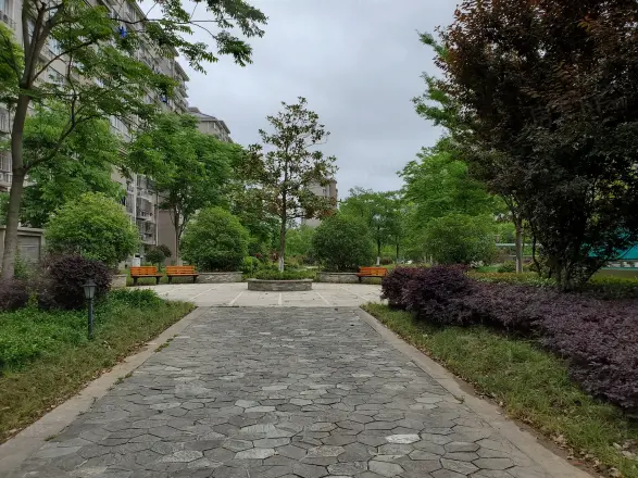 滨浦新苑八村