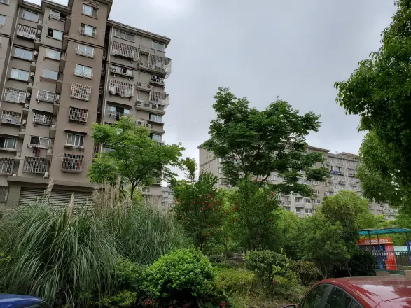 滨浦新苑八村