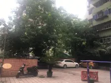 南坪万达龙湖商圈 近轻轨站 出行方便 配套齐全