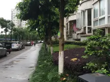 大竹林 楠竹苑三房130万