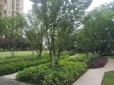 远洋城 3室1厅 南