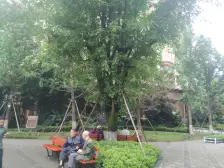 石桥铺次新小区 环境好 正三方户型方正